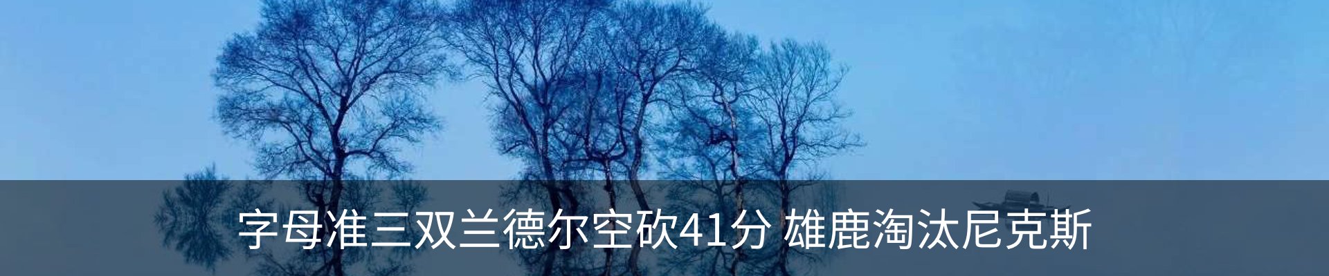 内页banner